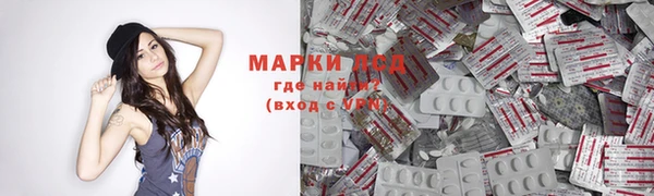 индика Михайловск