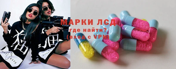 индика Михайловск