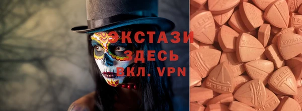 индика Михайловск