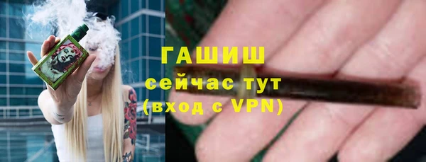 индика Михайловск