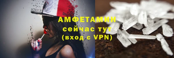 индика Михайловск