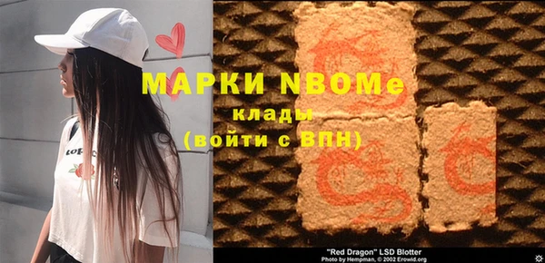 индика Михайловск