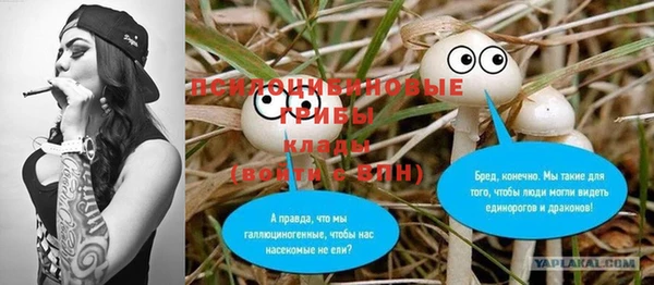 таблы Михайлов