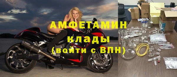 индика Михайловск