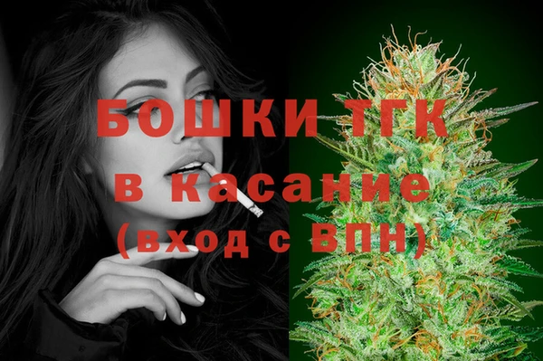 индика Михайловск