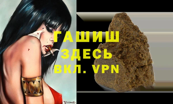 индика Михайловск